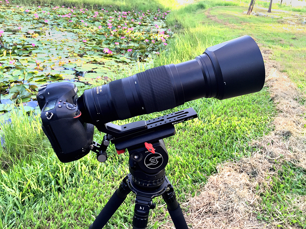 Nikon 200-500mm f/5.6E ED VR Lens Preview and Sample Images by Mobile01