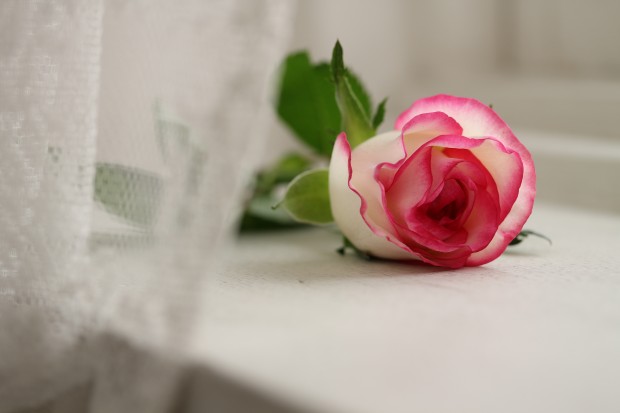 canon eos m10 sample images 5