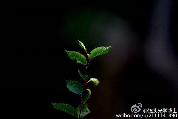 mitakon 135mm f 1.4 lens sample images 3