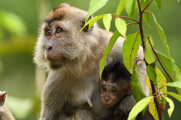 Nikon D500 Sample Images 7