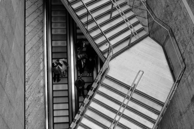 ff_x_pro2_sample images 5