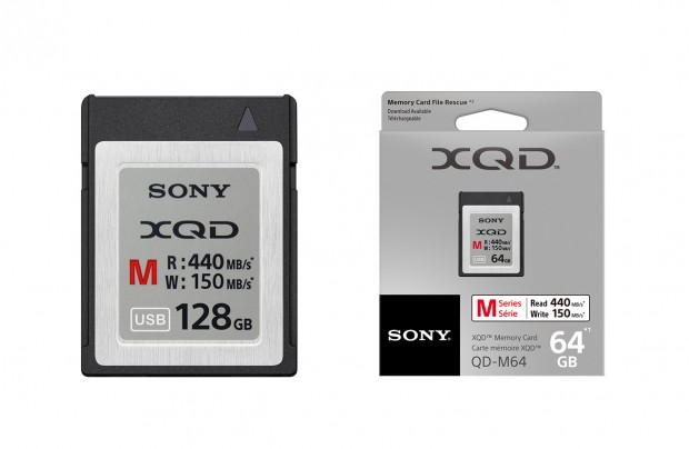 sony-xqd-card