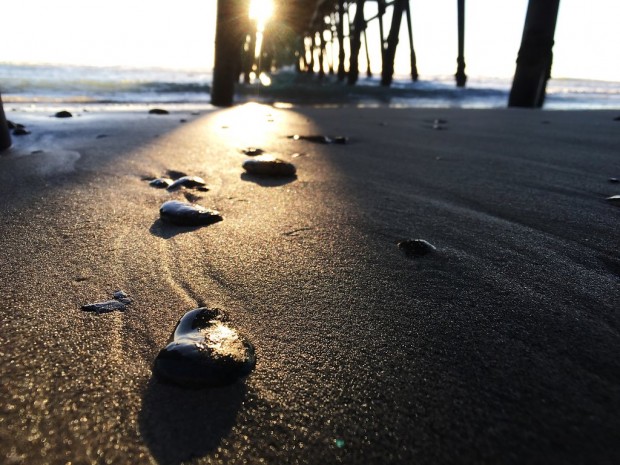 zeiss exolens sample image 1