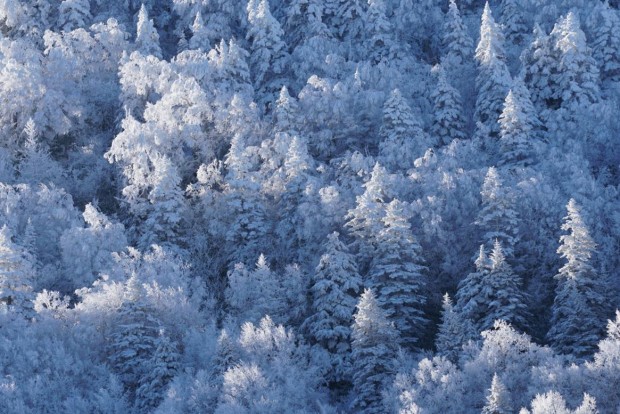 Sony a6300 sample images 9