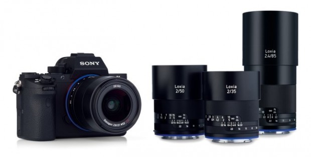 166463_nbigmini_Loxia85-4