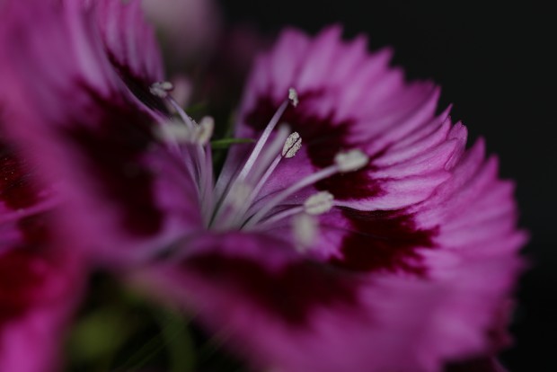 canon eos m5 sample image 5