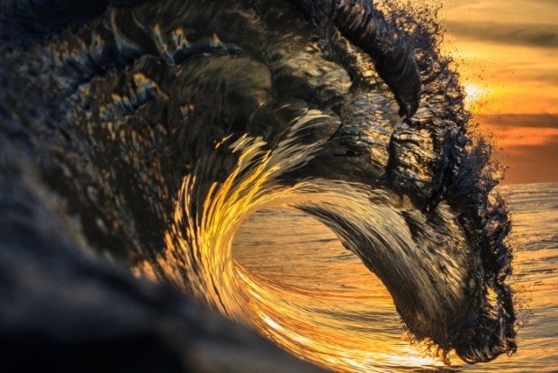 sigma 85mm f1.4 dg hsm art lens sample image 1