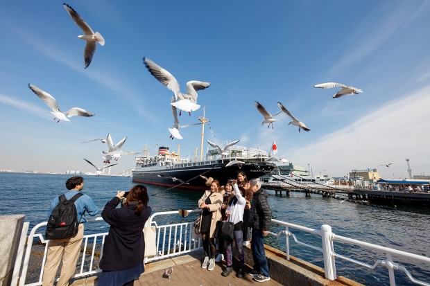 sigma 14mm f 1.8 dg hsm art lens sample image