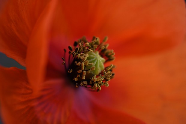 nikon d7500 sample images 3