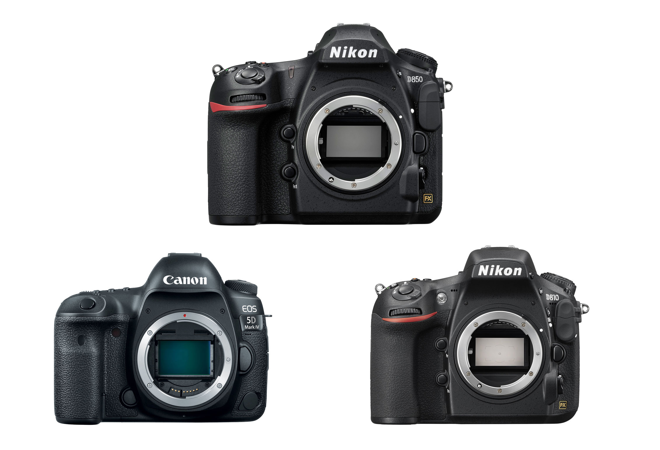 Nikon D850 Vs. Canon 5D Mark IV Vs. nikon d800 ...