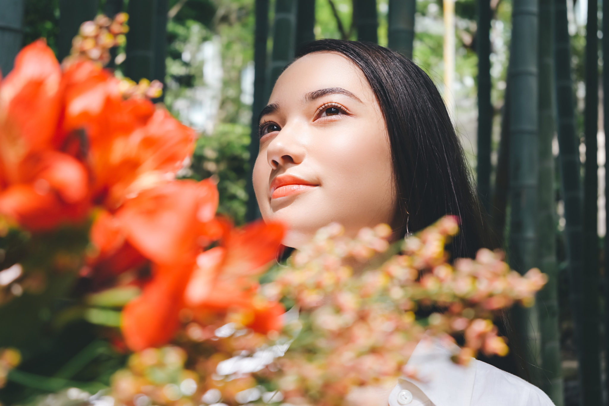 Nikon Z5 Sample Images - Camera News at Cameraegg