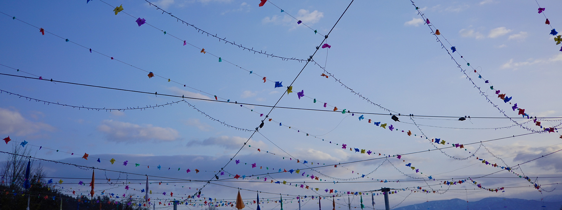 Voigtlander SEPTON 40mm f/2 Aspherical