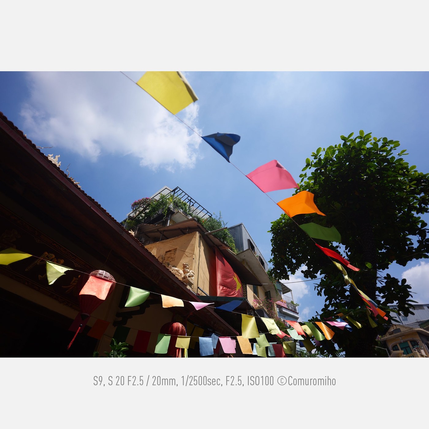 Sample photo from the LUMIX S9 with the S 20mm F2.5